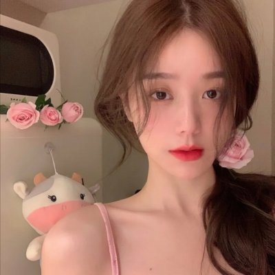 摇滚藏獒